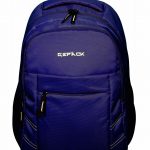 Neviblue Laptop Backpack (Titan)